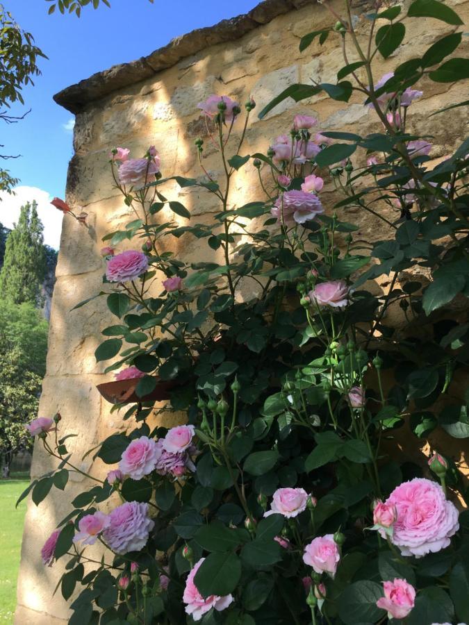 Par La Riviere Bed & Breakfast La Roque-Gageac Luaran gambar